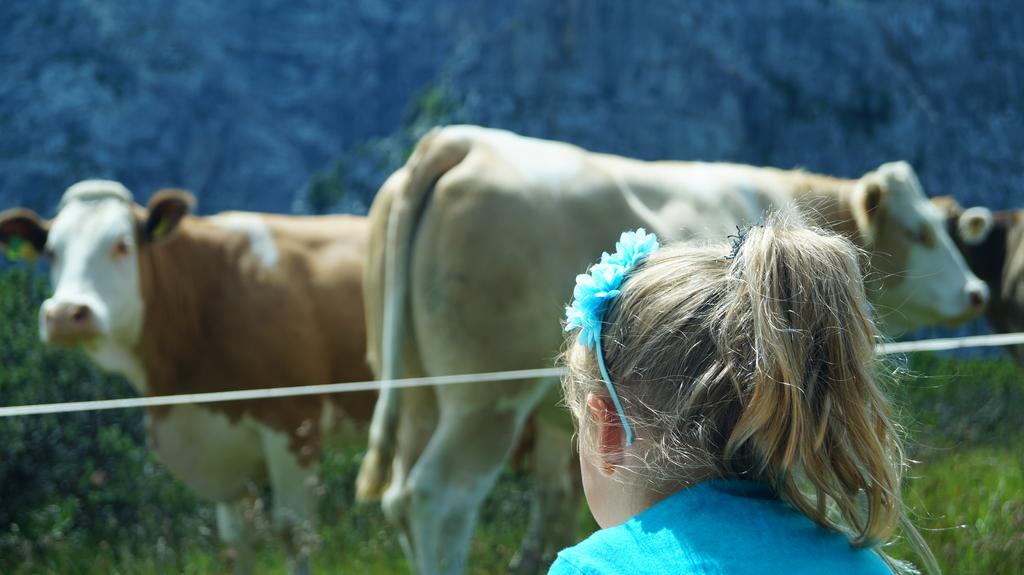 Ferienwohnungen Dzido Hermagor-Pressegger See Kültér fotó