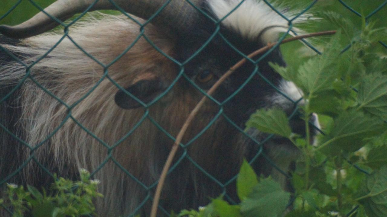 Ferienwohnungen Dzido Hermagor-Pressegger See Kültér fotó
